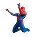 Костюм Человека-Паука с маской для взрослых (версия из игры PS4, размер 2XL) spidey_ps4_2XL фото 5